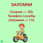 Дтп_водитель_6