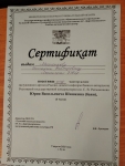 IMG-20250409-WA0028