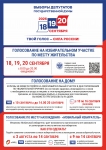 356061_Избирательная комиссия Тульской области_Плакат а3 и а4_формы голосования_голосование на дому (3)