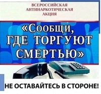 Сообщи, где  торгуют смертью