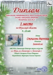 Стукалова Вероника_page-0001